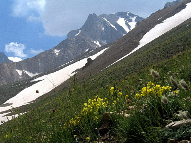 Mount Suleiman in the Alborz Mountains