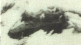Ararat Anomaly - Frame 2 Closeup