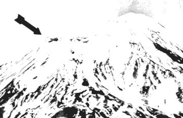 DIA Image of Ararat Anomaly 1949