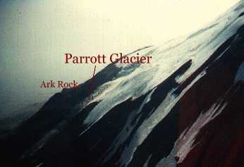 Parrot Glacier