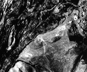 ark-seron3.jpg (16692 bytes)