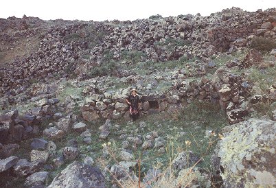 Eli Ruins (49761 bytes)